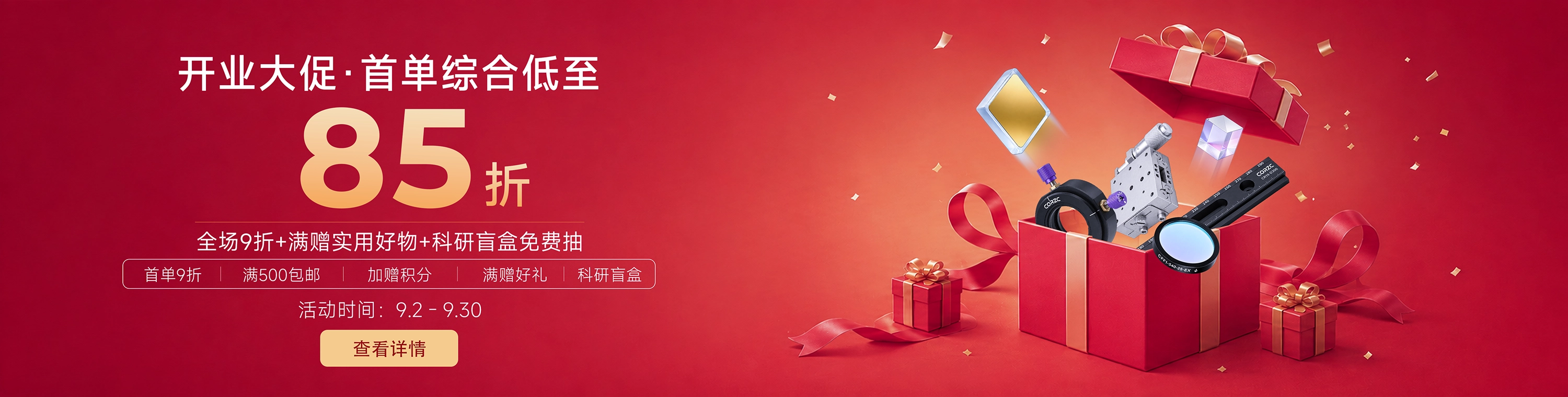 大促